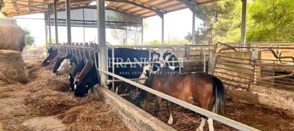 3 bedrooms Farm in Marsaskala, Malta No. 1113 2