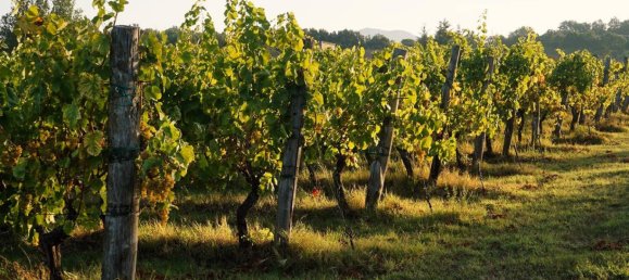 1090m² Land in Lonato del Garda, Italy No. 296790 8