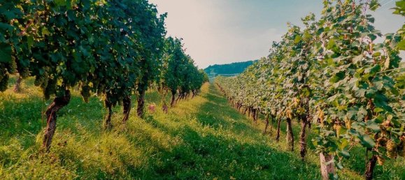 1090m² Land in Lonato del Garda, Italy No. 296790 7