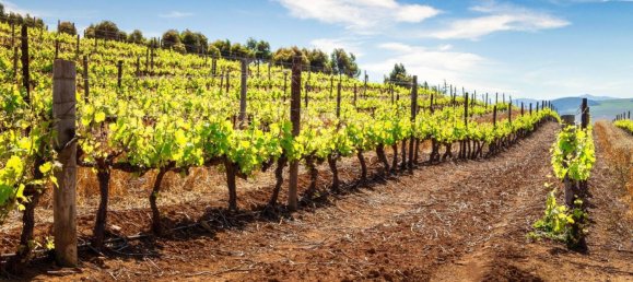 1090m² Land in Lonato del Garda, Italy No. 296790 2