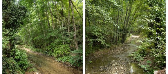 6 غرف نوم منزل في Radda in Chianti, Italy رقم 54626 30