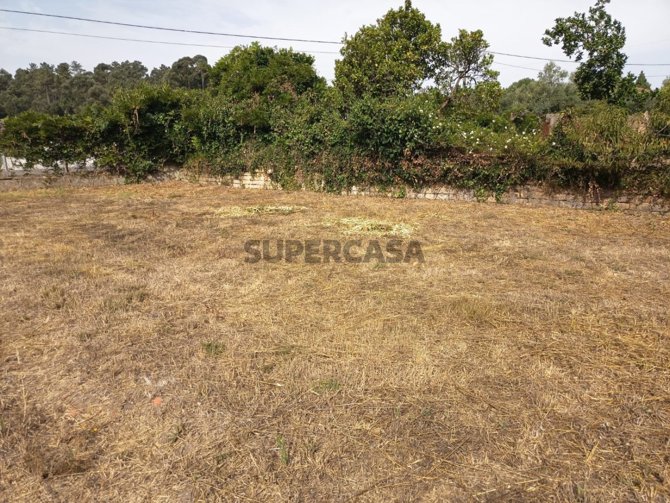  قطعة أرض في Oia, Portugal رقم 256076