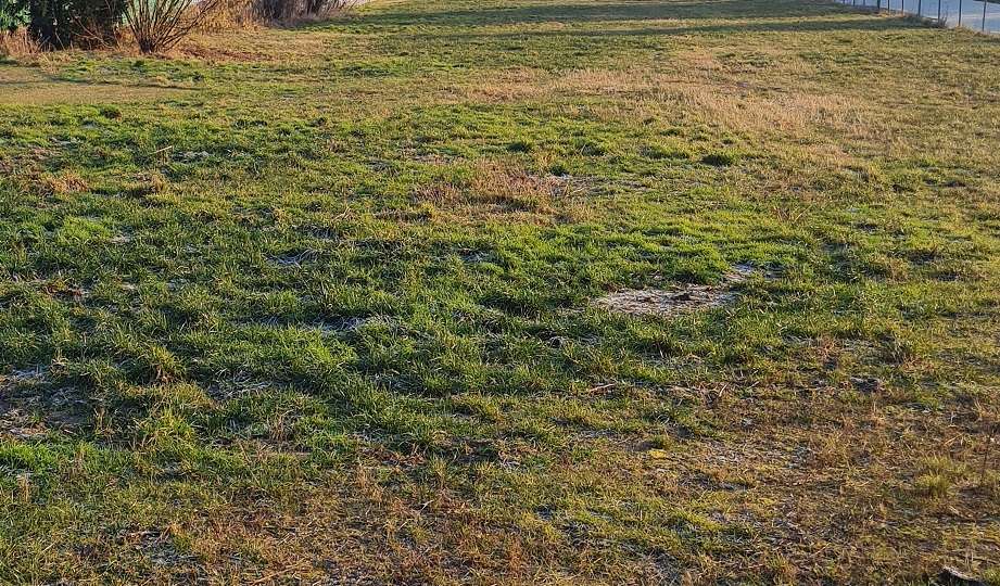  قطعة أرض في Brandenburg, Germany رقم 31602