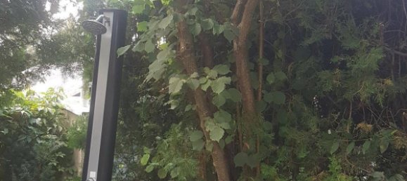 3غرفة بنغالو في Zillingdorf, Austria رقم 214686 24