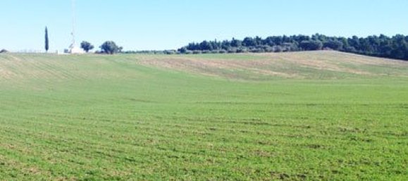 30100m² Hotel in Chalkidiki, Greece No. 8130 4