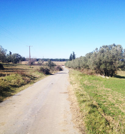  فندق في Chalkidiki, Greece 30100متر مربع رقم 8130
