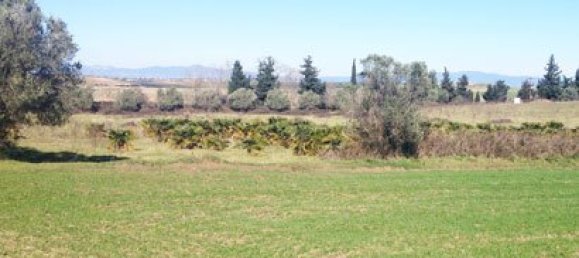 30100m² Hotel in Chalkidiki, Greece No. 8130 2