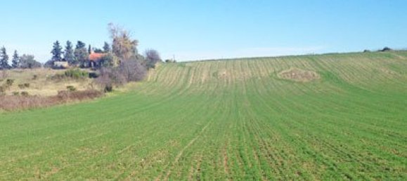 30100m² Hotel in Chalkidiki, Greece No. 8130 3