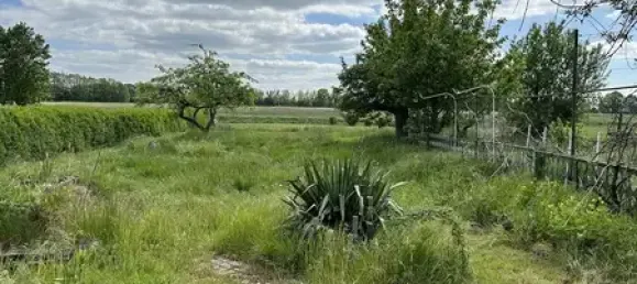 Вилла с 4 спальнями в Людвигслуст-Пархим, Германия № 193085 18