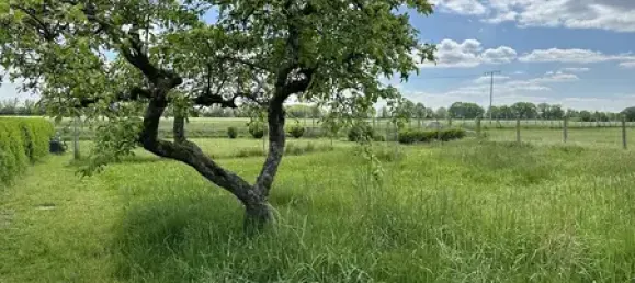 Вилла с 4 спальнями в Людвигслуст-Пархим, Германия № 193085 22