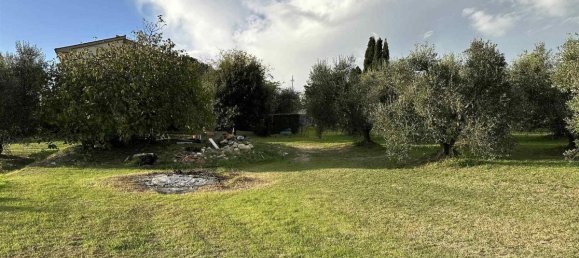 3 bedrooms House in Magliano in Toscana, Italy No. 1445 6