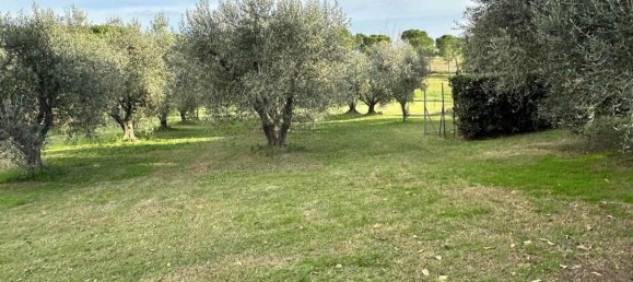 3 bedrooms House in Magliano in Toscana, Italy No. 1445 12