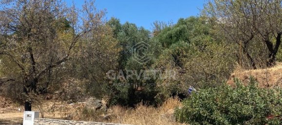 710m² Land in Salir, Portugal No. 60034 8