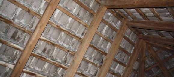 Adosado de 4 habitaciónes en Demmin, Germany No. 162913 4