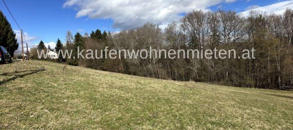 Земельный участок в Хенгсберг, Австрия № 80529 5