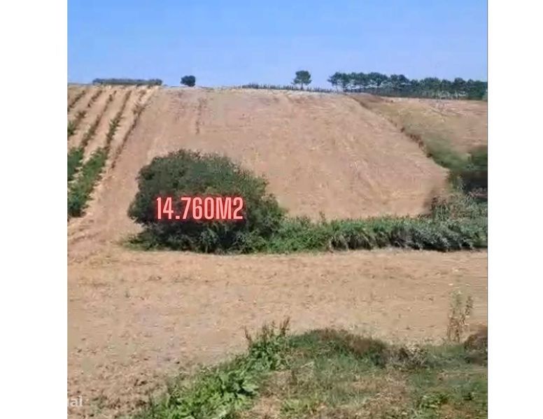 14760m² Land in Moita dos Ferreiros, Portugal No. 296150