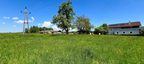 1044m² Land in Goming, Austria No. 166342 2