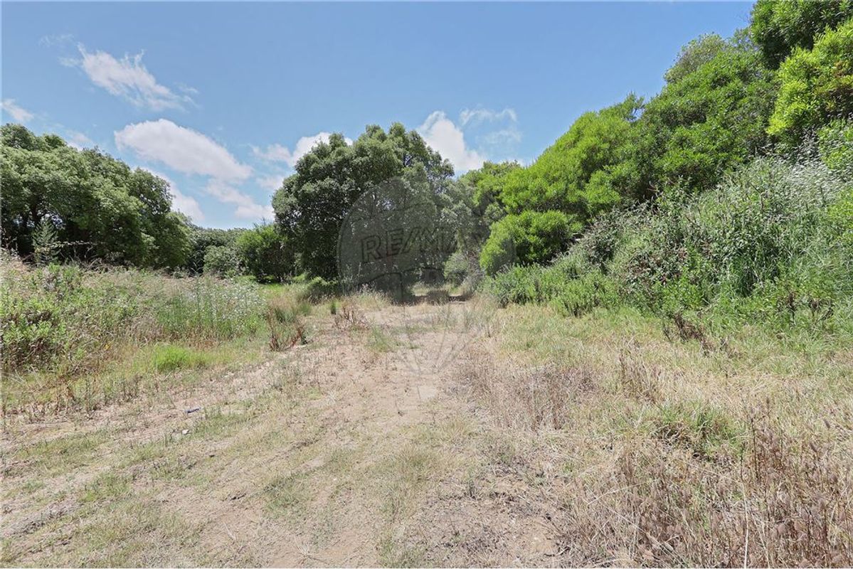 Terrain à Sintra, Portugal 48322m² No. 91635