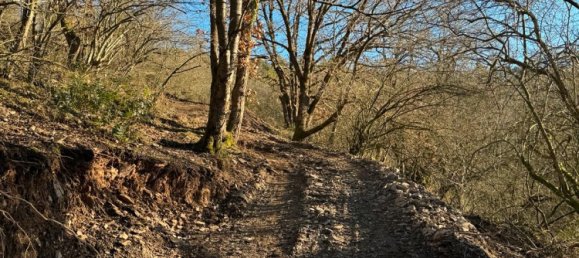 Terreno em Duren, Germany N.º 333241 2