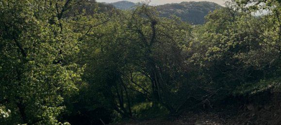 Terreno em Duren, Germany N.º 333241 3