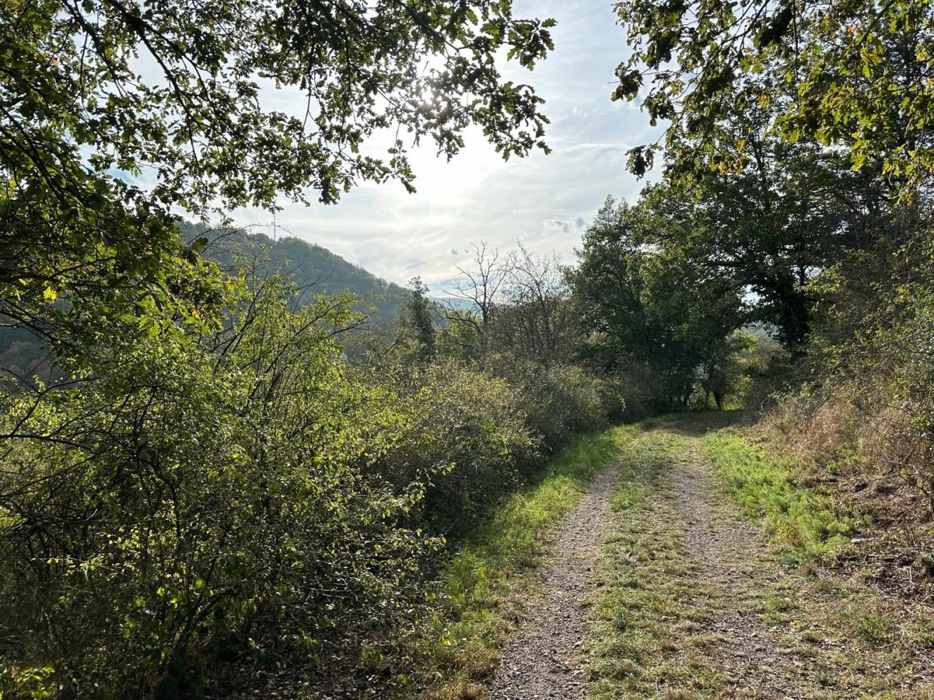 Terreno em Duren, Germany N.º 333241