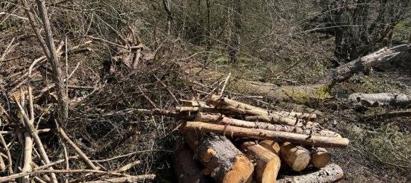 Terreno em Duren, Germany N.º 333241 5