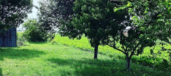 Casa de 5 divisões em Porto Tolle, Italy N.º 175265 6