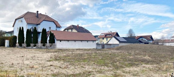 Земельный участок в Нойкирхен бай Ламбах, Австрия № 67108 2