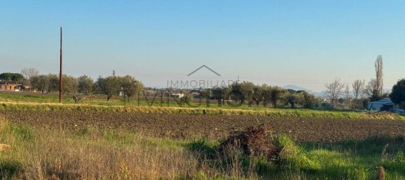 4 rooms Apartment in Rimini, Italy No. 37341 14