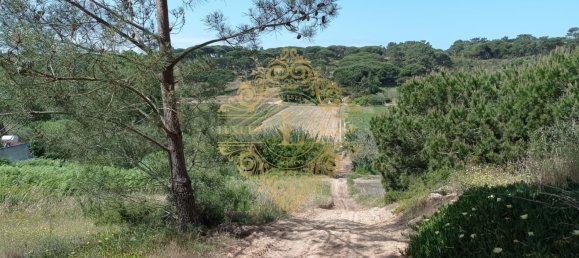 Terreno em Sesimbra, Portugal N.º 143338 3