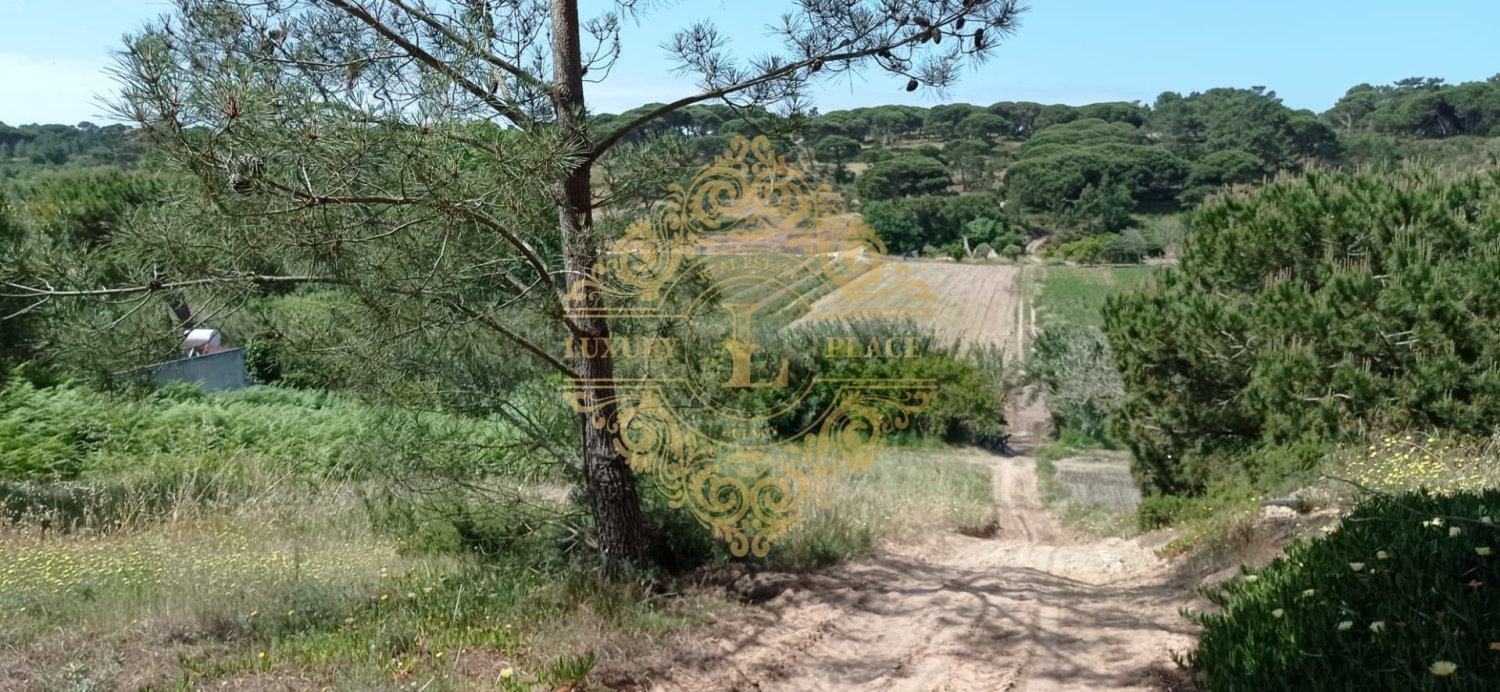 Terreno em Sesimbra, Portugal N.º 143338