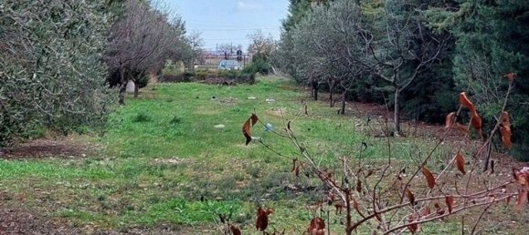 3 rooms Villa in Biccari, Italy No. 265704 7