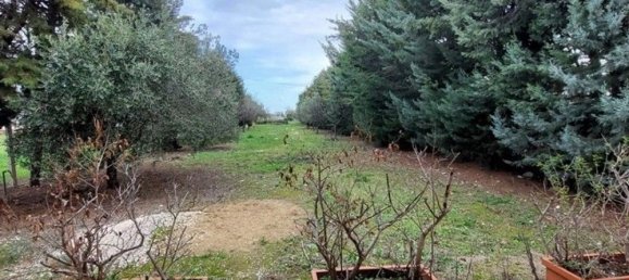 3 rooms Villa in Biccari, Italy No. 265704 2