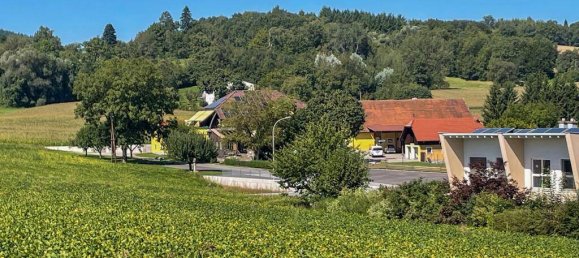 Terreno en Leonding, Austria 733 m² No. 224706 3