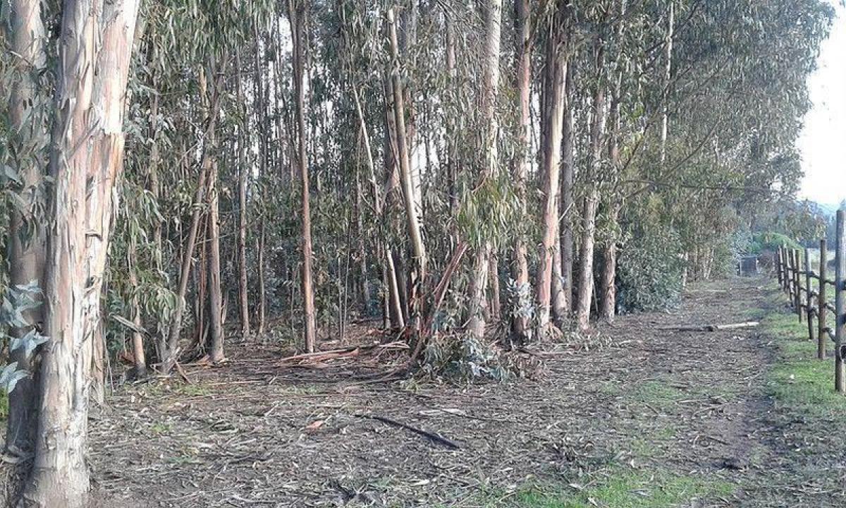  Land in Valparaiso, Chile No. 1161