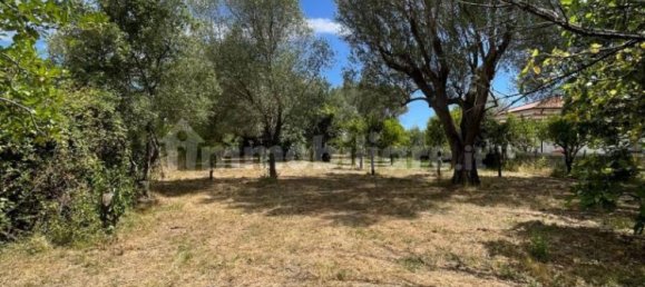 2 bedrooms House in Santa Marina, Italy No. 292392 13