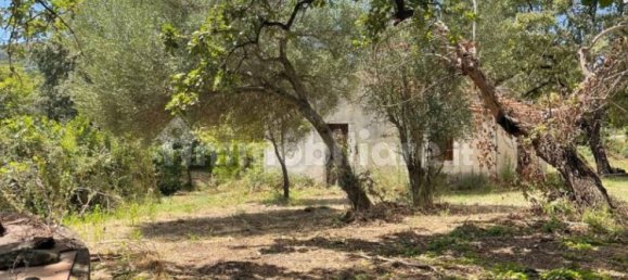 2 bedrooms House in Santa Marina, Italy No. 292392 19