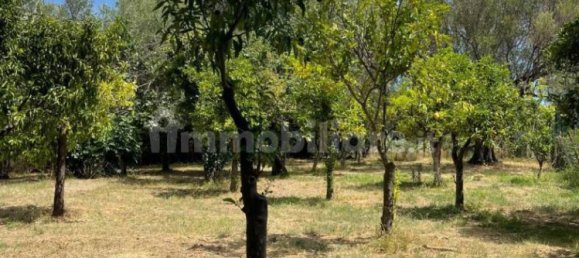 2 bedrooms House in Santa Marina, Italy No. 292392 34