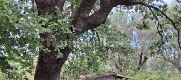 2 bedrooms House in Santa Marina, Italy No. 292392 49