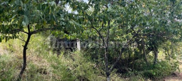 2 bedrooms House in Santa Marina, Italy No. 292392 27