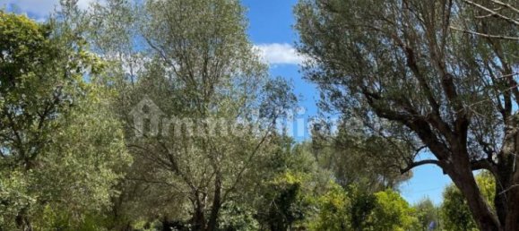 2 bedrooms House in Santa Marina, Italy No. 292392 16