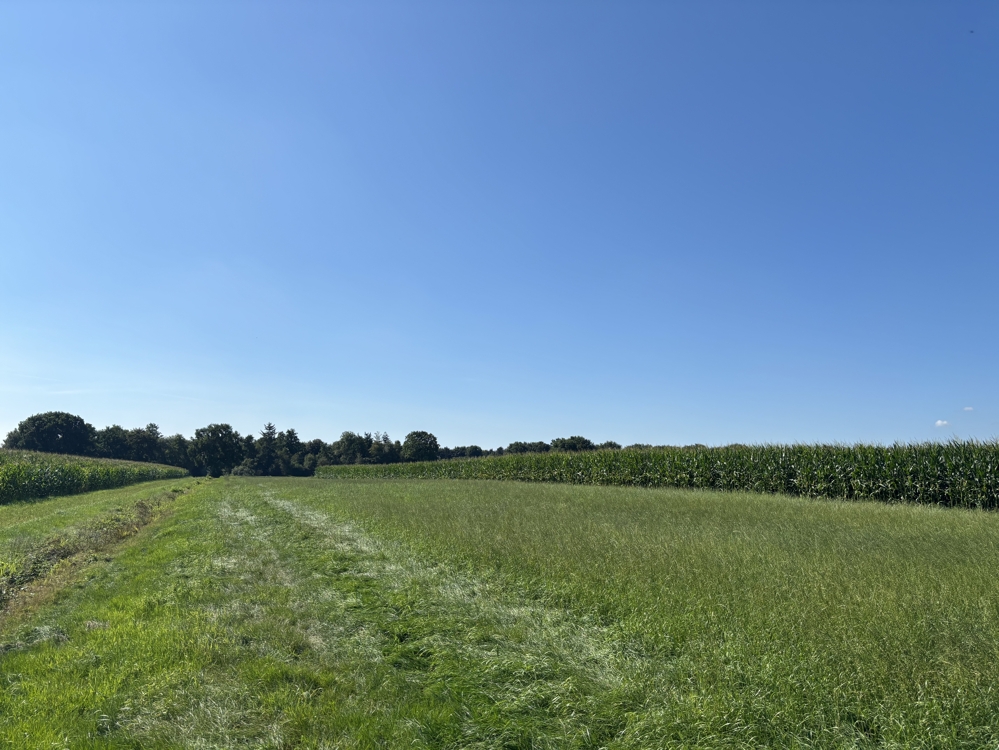 Grundstück in Ammerland, Germany 66754m², Nr. 330424