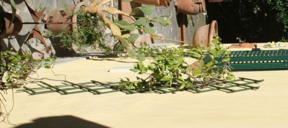 8-Zimmer Villa in Luni, Italy, Nr. 139786 20