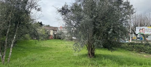 3 bedrooms House in Mangualde, Portugal No. 28672 4