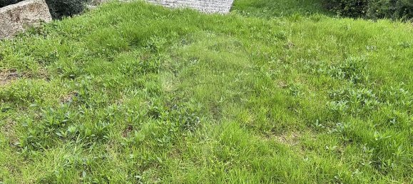 3 bedrooms House in Mangualde, Portugal No. 28672 5