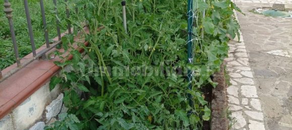 Вилла с 6 спальнями в Презенцано, Италия № 134470 13