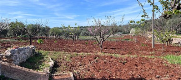 Villa de 3 dormitorios en Ostuni, Italy No. 121963 35