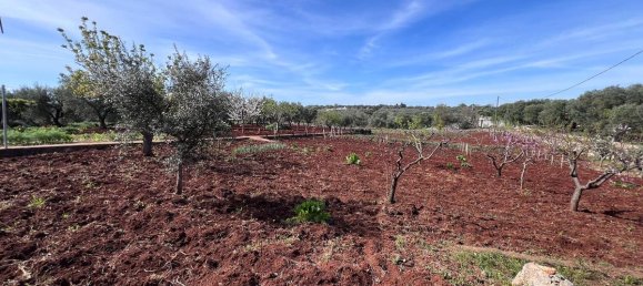 Villa de 3 dormitorios en Ostuni, Italy No. 121963 39