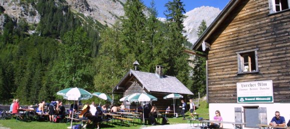 Дом с 14 комнатами в Шарниц, Австрия № 219466 33