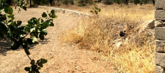 3 chambres Hôtel à Aegina, Greece No. 6492 11